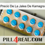 Kamagra Jelly Price new09